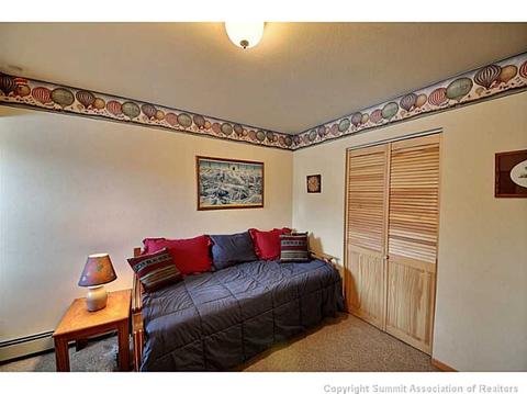 301 La Bonte St #6, Dillon, CO 80435 photo 13