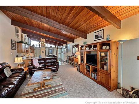 301 La Bonte St #6, Dillon, CO 80435 photo 3