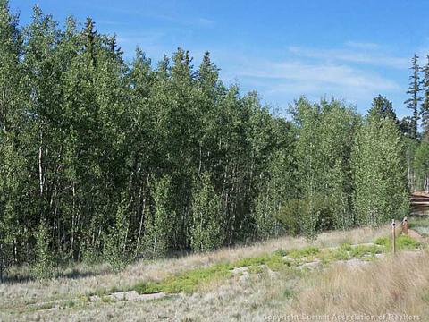 237 Smith And Wesson Rd, Como, CO 80432 photo 1