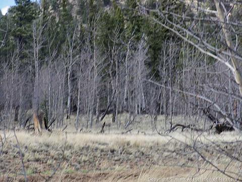 237 Smith And Wesson Rd, Como, CO 80432 photo 2