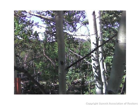 237 Smith And Wesson Rd, Como, CO 80432 photo 4