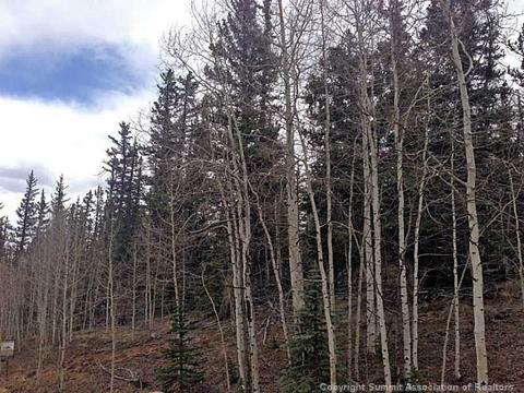 237 Smith And Wesson Rd, Como, CO 80432 photo 5