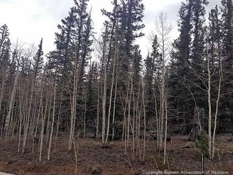 237 Smith And Wesson Rd, Como, CO 80432 photo 3