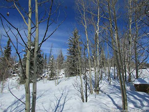 2053 Longbow Dr, Como, CO 80432 photo 3