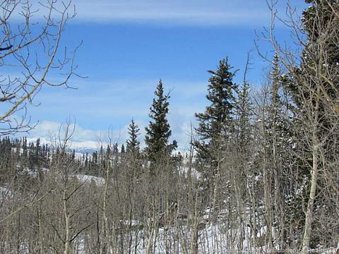 2053 Longbow Dr, Como, CO 80432 photo 2