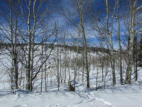 2053 Longbow Dr, Como, CO 80432 photo 6