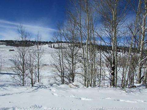 2053 Longbow Dr, Como, CO 80432 photo 5