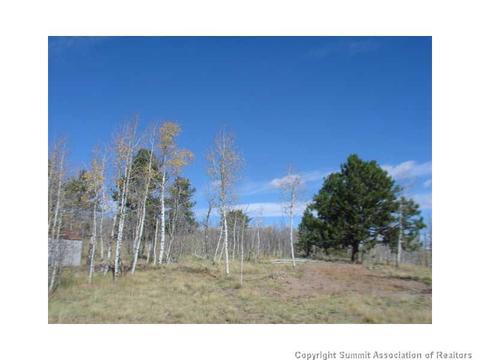 3676 Buffalo Ridge Rd, Como, CO 80432 photo 6