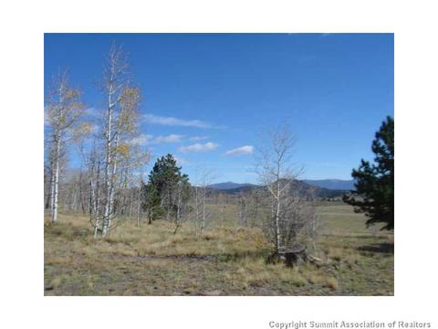 3676 Buffalo Ridge Rd, Como, CO 80432 photo 5