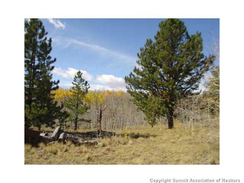 3676 Buffalo Ridge Rd, Como, CO 80432 photo 1