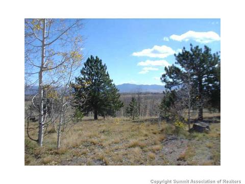 3676 Buffalo Ridge Rd, Como, CO 80432 photo 4