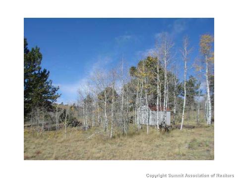 3676 Buffalo Ridge Rd, Como, CO 80432 photo 3