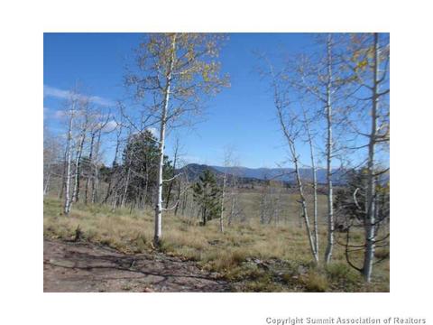 3676 Buffalo Ridge Rd, Como, CO 80432 photo 2