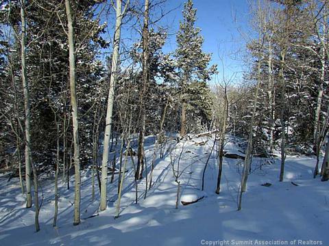 191 Smith And Wesson Rd, Como, CO 80432 photo 2