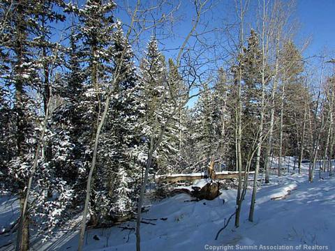 191 Smith And Wesson Rd, Como, CO 80432 photo 1