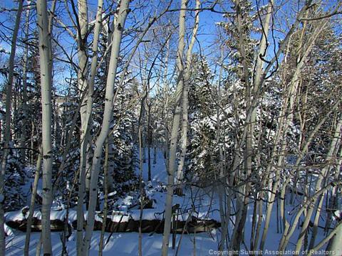211 Smith And Wesson Rd, Como, CO 80432 photo 5