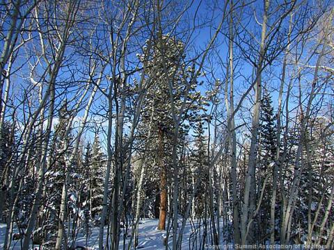 211 Smith And Wesson Rd, Como, CO 80432 photo 4
