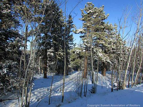 211 Smith And Wesson Rd, Como, CO 80432 photo 1