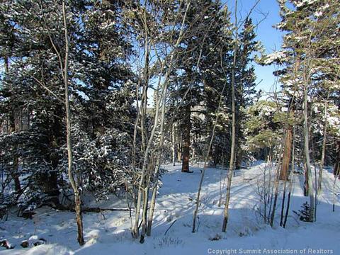 211 Smith And Wesson Rd, Como, CO 80432 photo 2