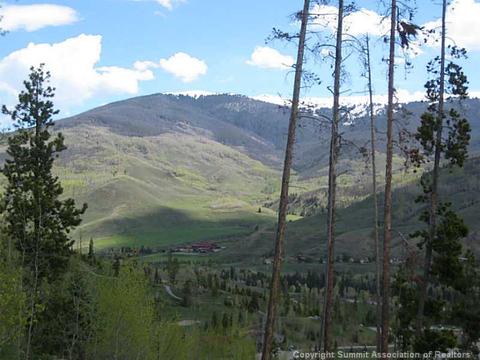 1280 Golden Eagle Rd, Silverthorne, CO 80498 photo 8