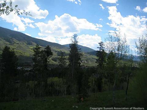 1280 Golden Eagle Rd, Silverthorne, CO 80498 photo 5
