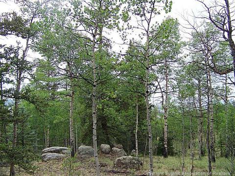 738 Haida Ln, Como, CO 80432 photo 3