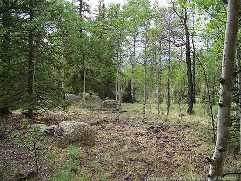 738 Haida Ln, Como, CO 80432 photo 2