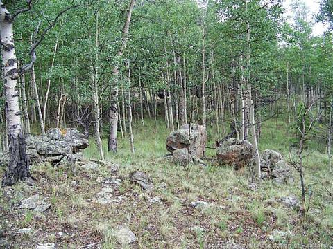 738 Haida Ln, Como, CO 80432 photo 5