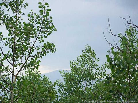 738 Haida Ln, Como, CO 80432 photo 4