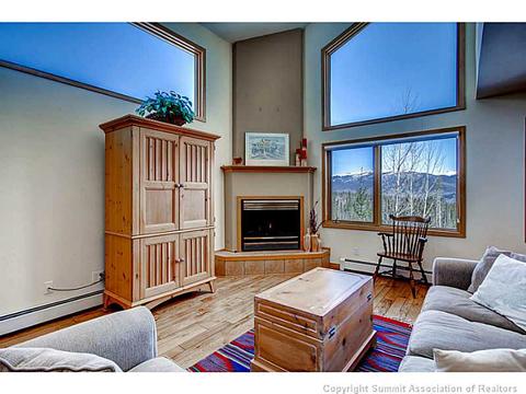 81 Bashore Ct, Silverthorne, CO 80498 photo 3