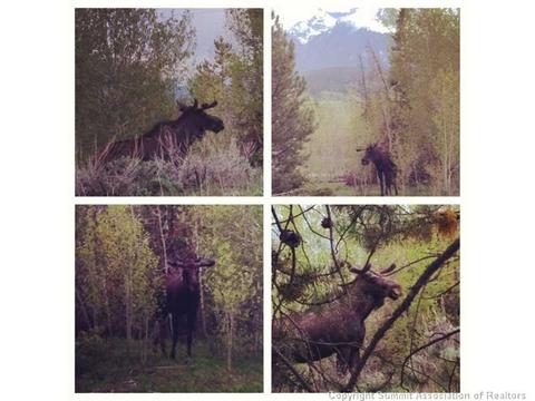 32 J Rd, Silverthorne, CO 80498 photo 16