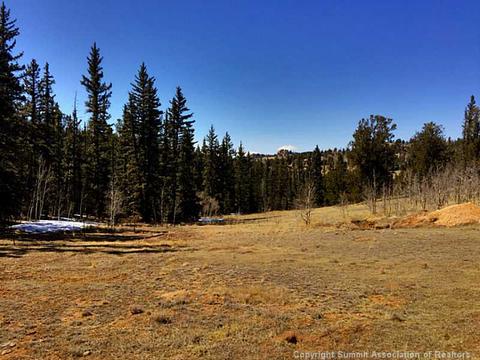 117 Windage Run Rd, Como, CO 80432 photo 5