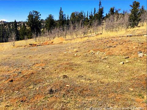 117 Windage Run Rd, Como, CO 80432 photo 3