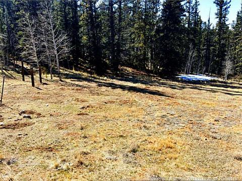 117 Windage Run Rd, Como, CO 80432 photo 4