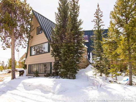 529 Piney Acres Cir, Dillon, CO 80435 photo 23