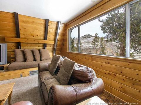 529 Piney Acres Cir, Dillon, CO 80435 photo 9