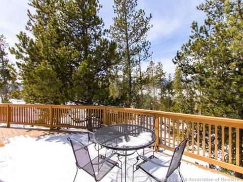 529 Piney Acres Cir, Dillon, CO 80435 photo 12