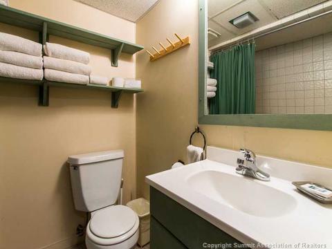 529 Piney Acres Cir, Dillon, CO 80435 photo 18