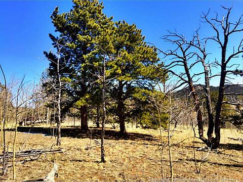1184 Ute Trl, Como, CO 80432 photo 4