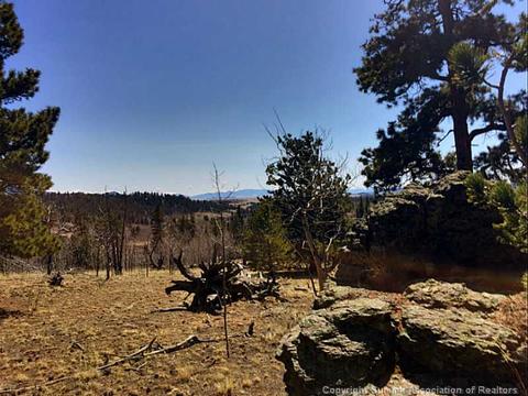 1184 Ute Trl, Como, CO 80432 photo 3
