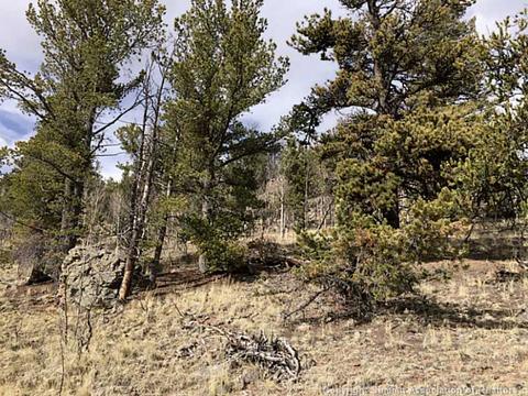 10 Longbow Dr, Como, CO 80432 photo 4
