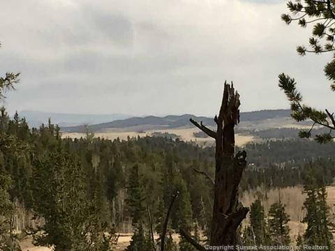 10 Longbow Dr, Como, CO 80432 photo 6
