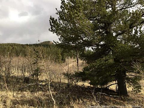 10 Longbow Dr, Como, CO 80432 photo 2