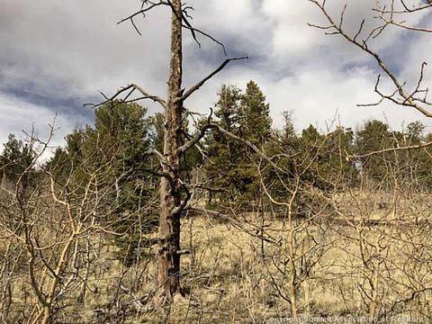 10 Longbow Dr, Como, CO 80432 photo 3
