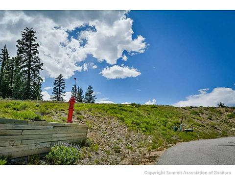 67 Habitat Ct, Dillon, CO 80435 photo 10