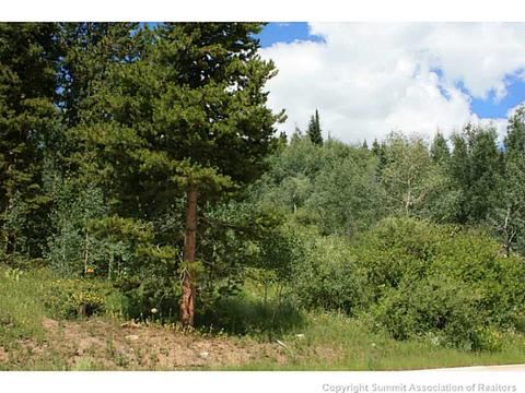 1475 Golden Eagle Rd, Silverthorne, CO 80498 photo 10