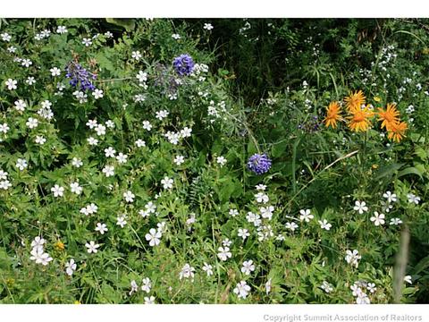 1475 Golden Eagle Rd, Silverthorne, CO 80498 photo 9