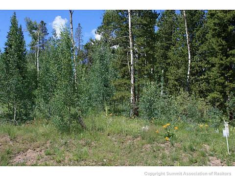 1475 Golden Eagle Rd, Silverthorne, CO 80498 photo 11