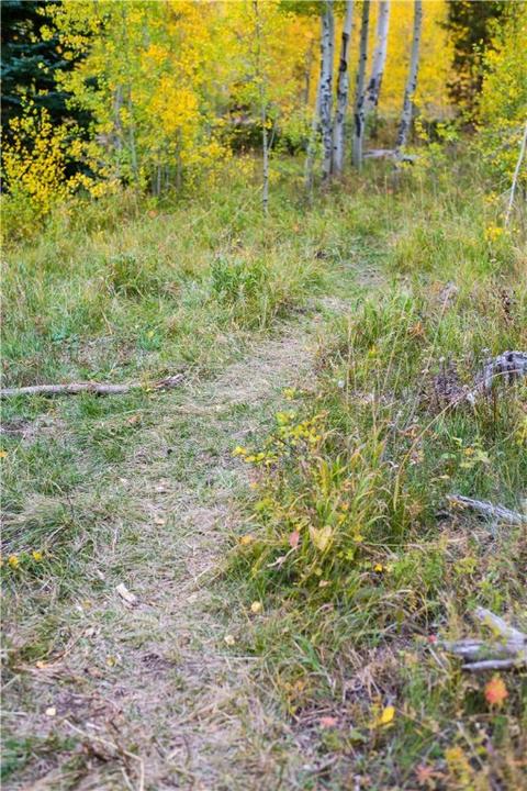1475 Golden Eagle Rd, Silverthorne, CO 80498 photo 6