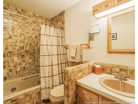 100 Wild Iris Ln, Keystone, CO 80435 photo 13